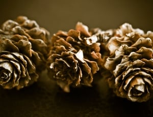 brown artificial flower thumbnail