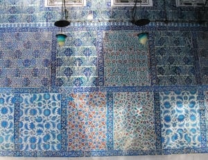blue and white area rug thumbnail