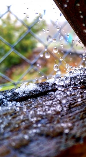 raindrop and gray metal fence thumbnail