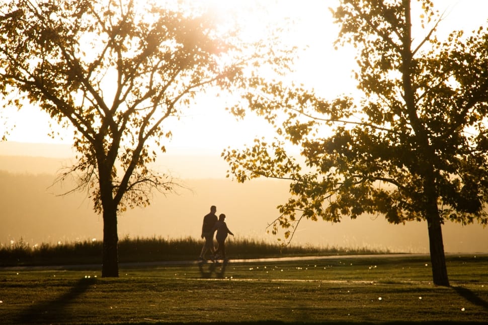silhouette photo of two person walking on pathways preview