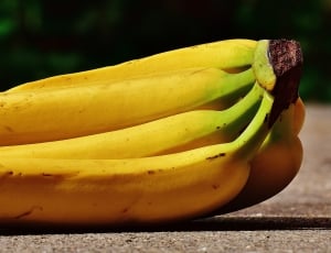 bundle of banana thumbnail