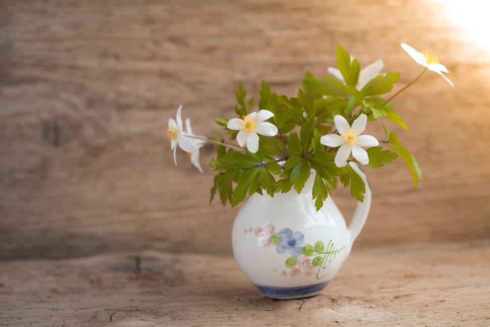 white flowers in white ceramic vase preview
