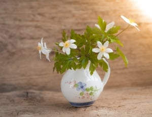 white flowers in white ceramic vase thumbnail
