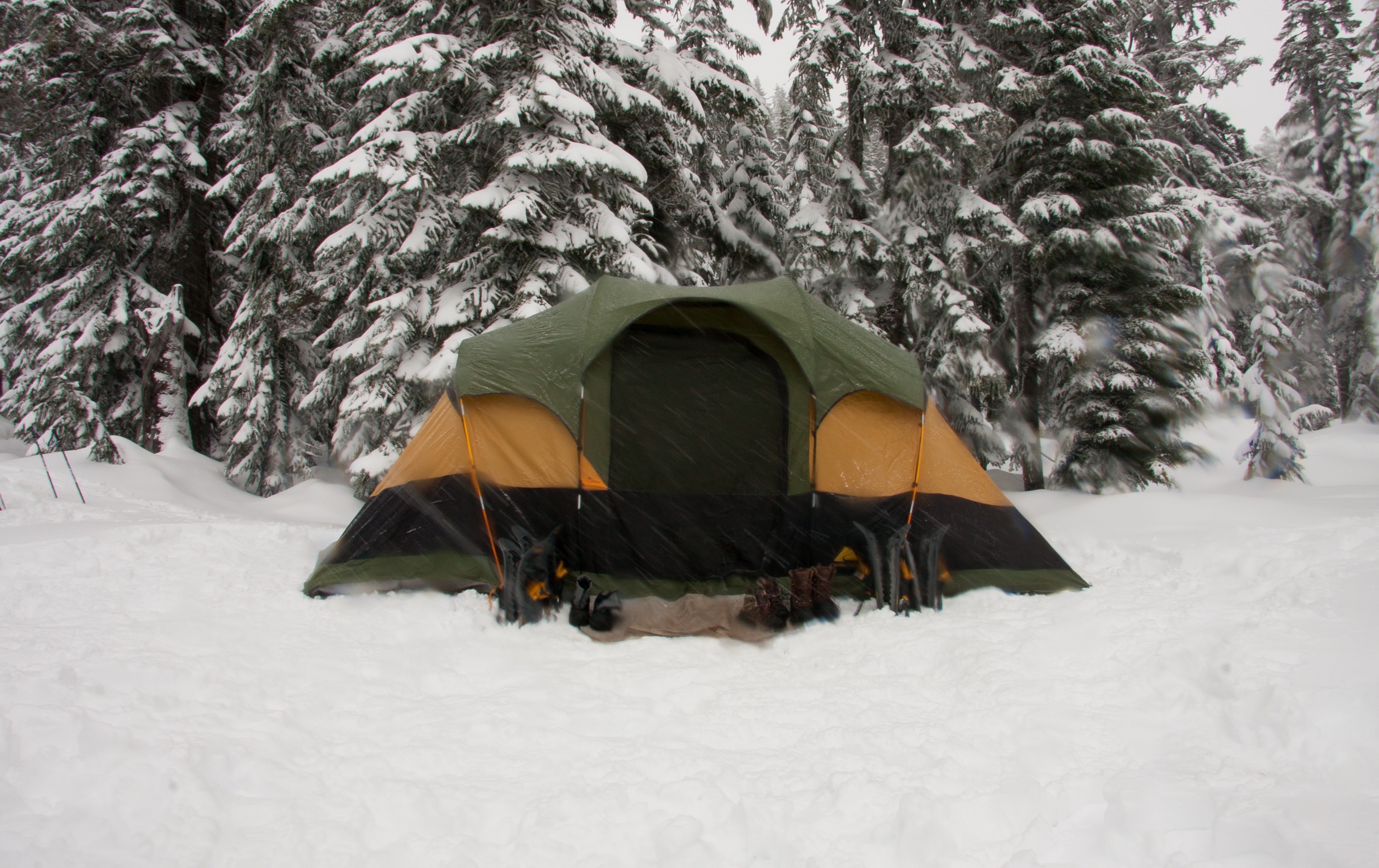 orange black and grey dome tent