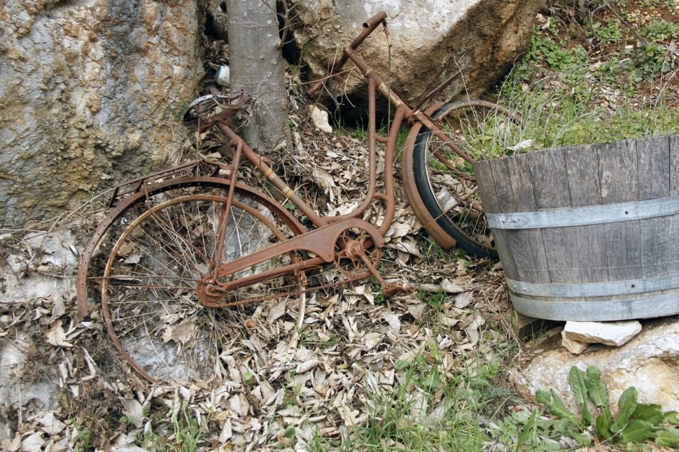 abandoned bike preview