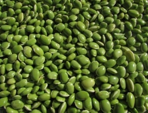 green beans thumbnail