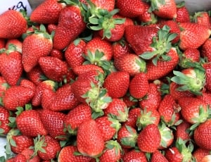 strawberry fruit lot thumbnail