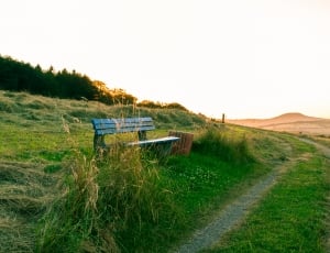 green grass field and gray wooden bench thumbnail