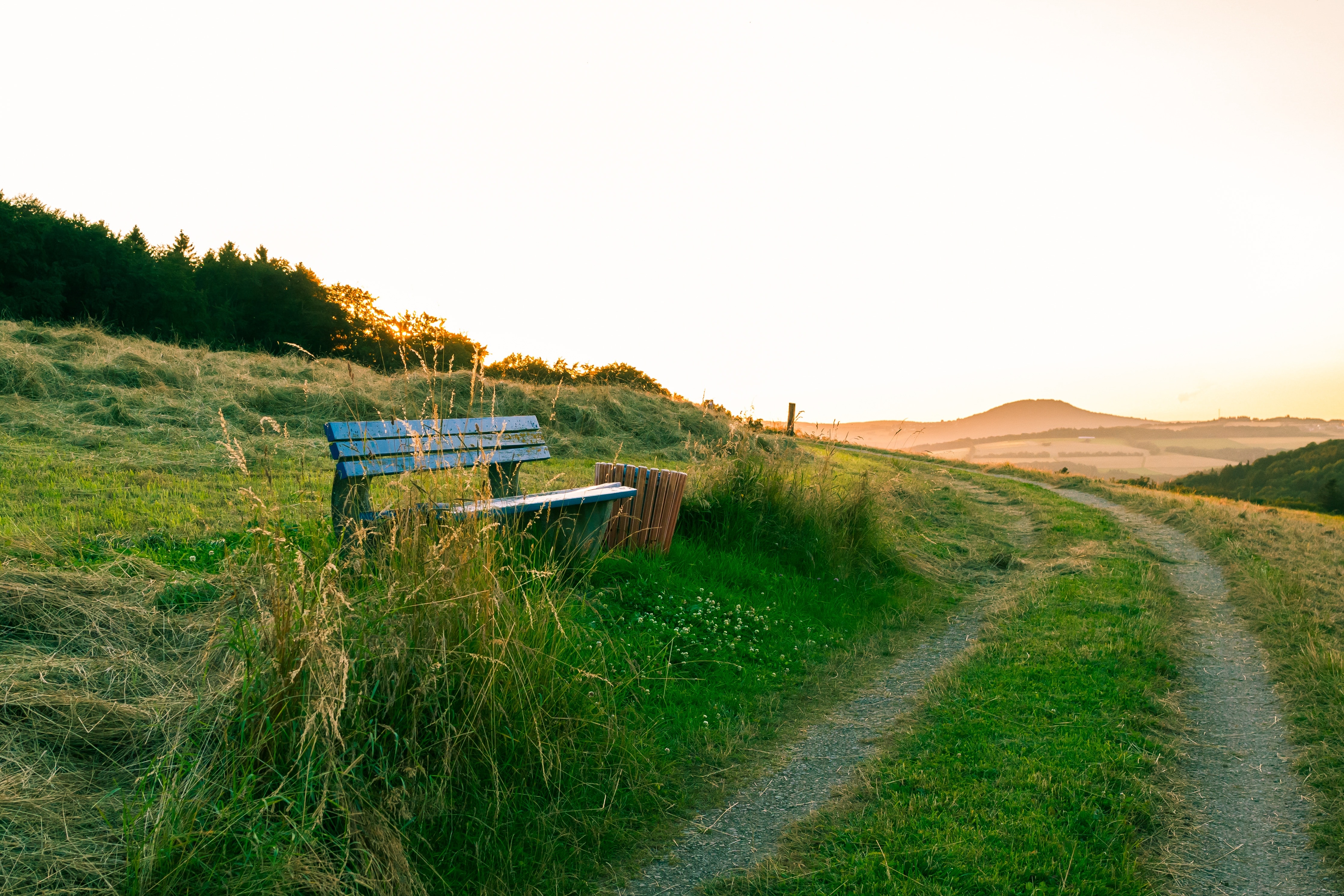 green grass field and gray wooden bench