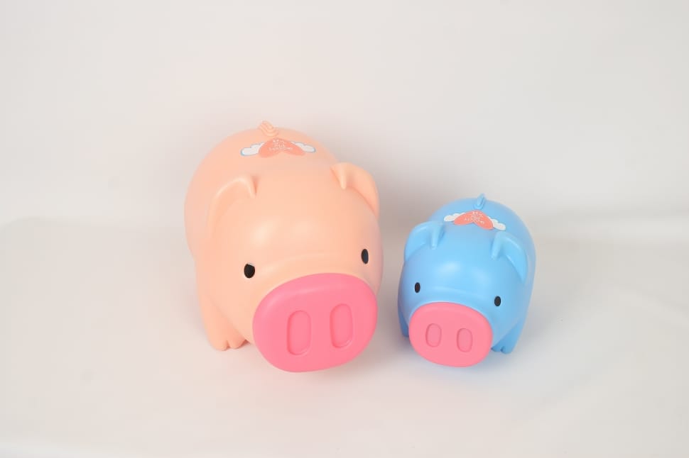 2 plastic hog coin banks preview