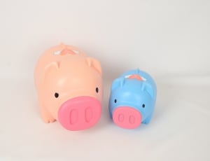 2 plastic hog coin banks thumbnail
