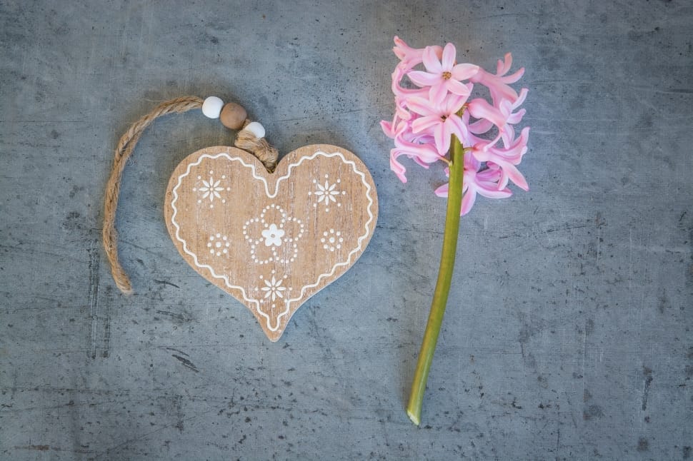 pink petaled flowers and brown heart pendant preview
