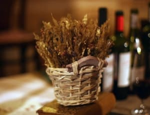 brown wicker basket with sticks thumbnail