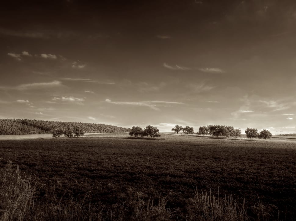 fields sepia photo preview