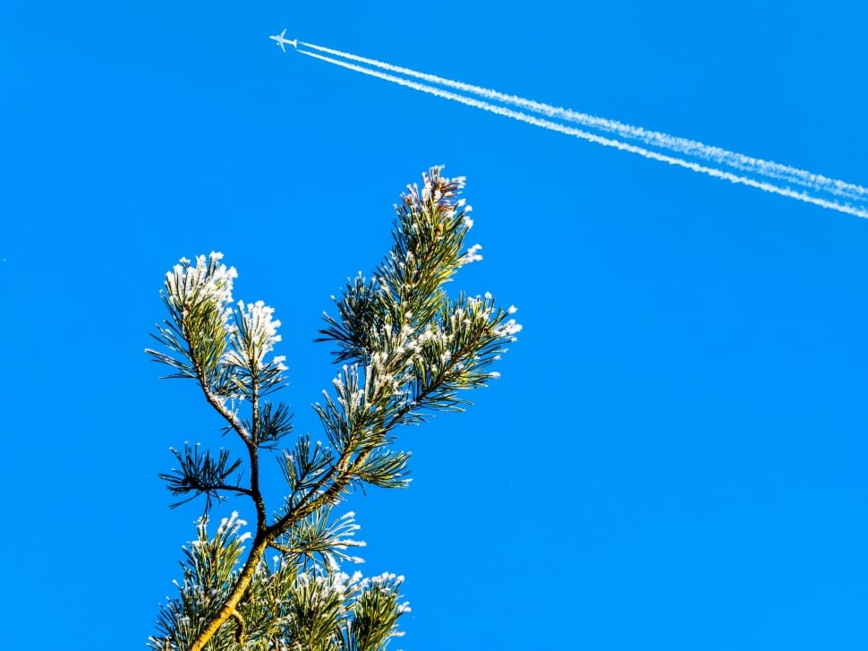 Sky, Blue, Aircraft, Contrail, Winter, clear sky, blue preview