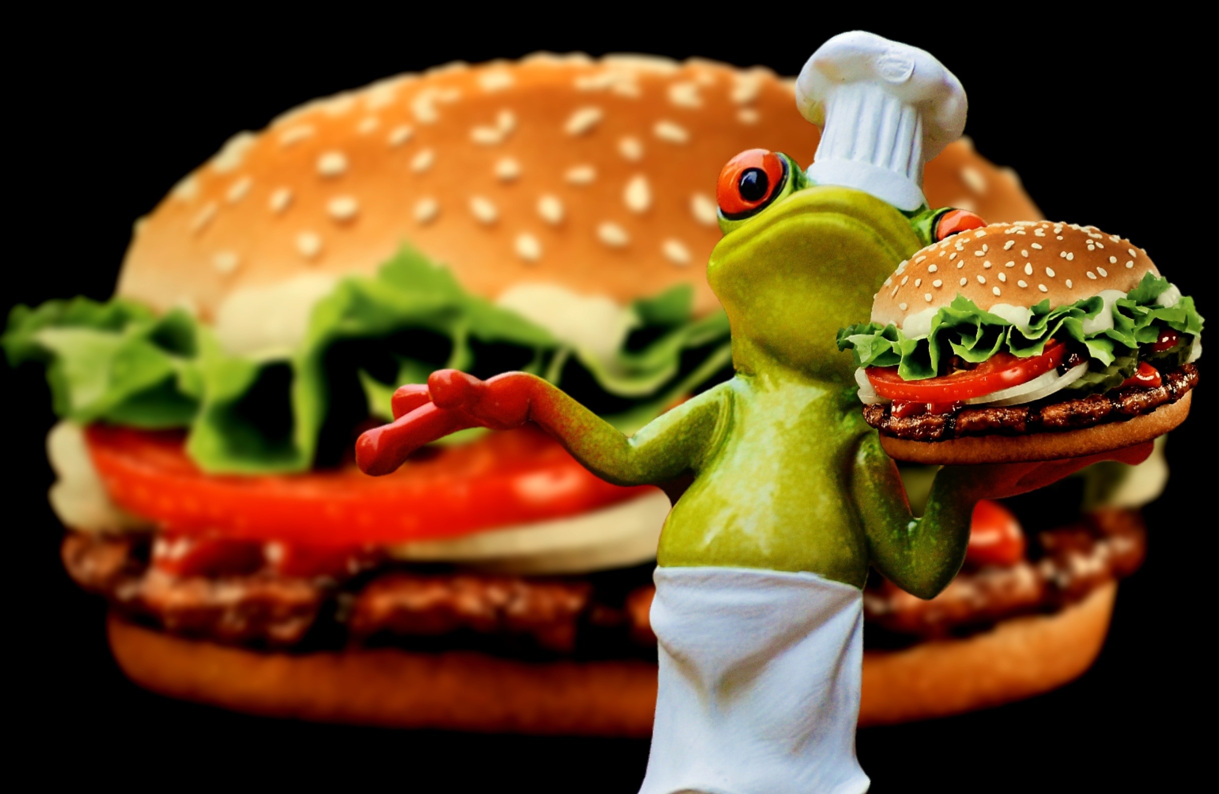Frog, Cooking, Cheeseburger, Hamburger, tomato, food and drink