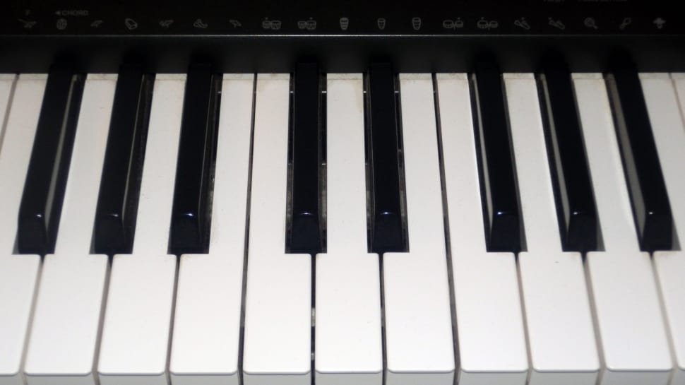 closeup photo of electronic keyboard preview