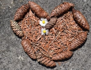 brown pine cone heart shape decor \ thumbnail