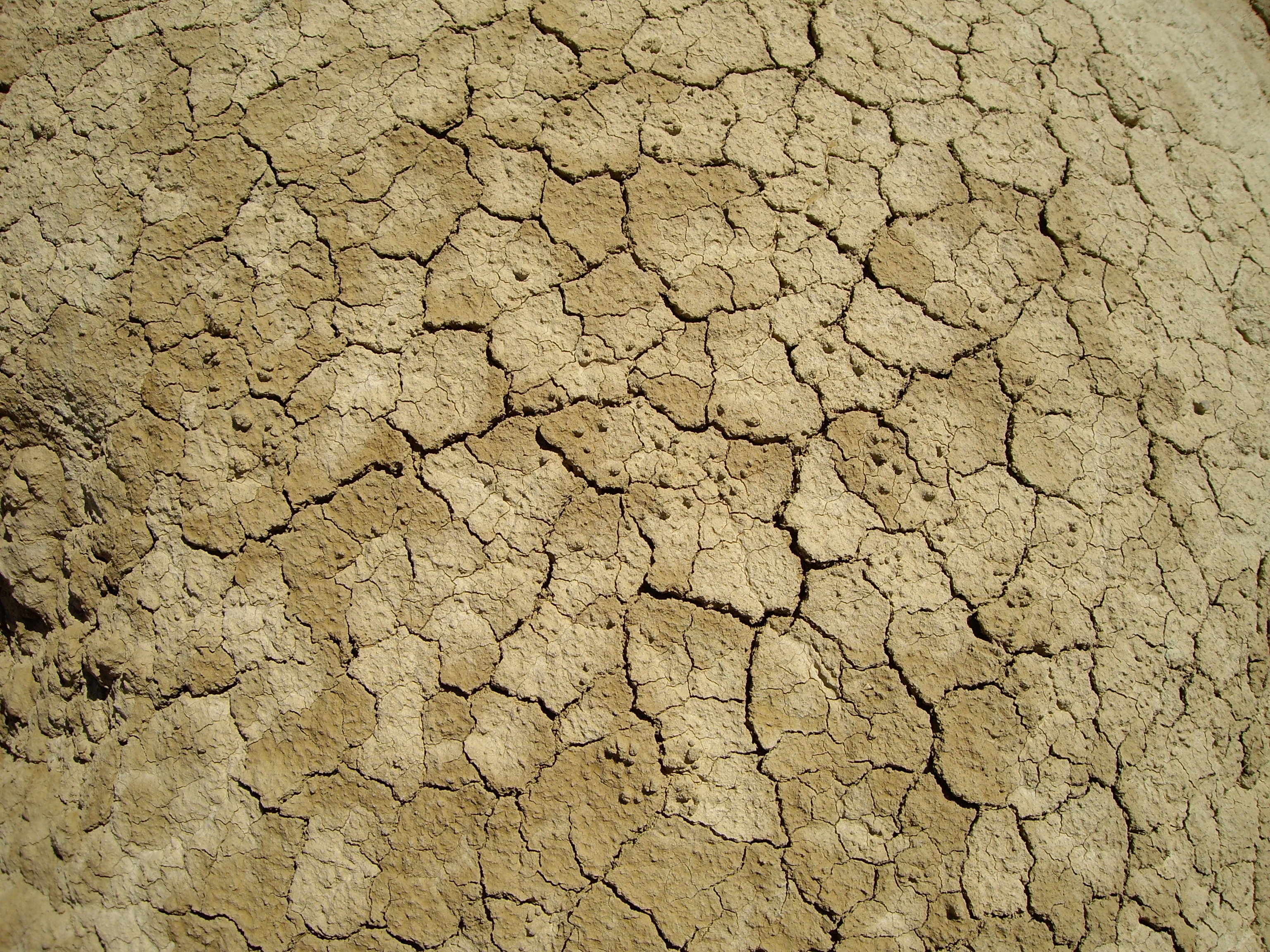 Drought, Desert, Ground Cracked, Summer, cracked, drought