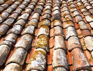 red and gray roof thumbnail