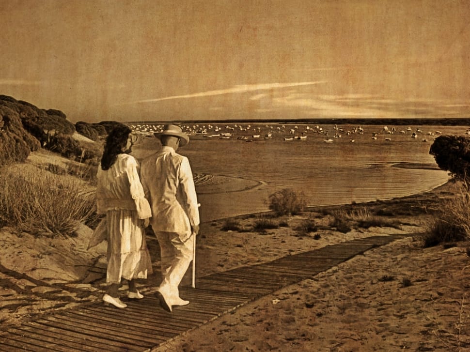 man and woman walking near seashore preview
