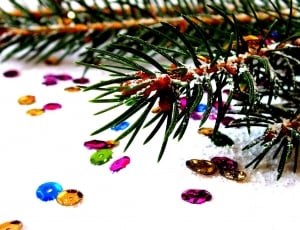 Photos Of Christmas, Spruce, Christmas, multi colored, beauty thumbnail