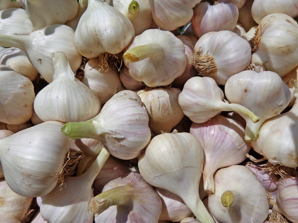 garlic bulb lot preview