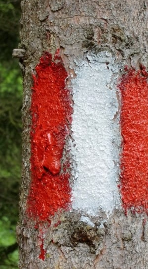 red and white paint thumbnail