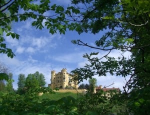 picture of trees and castle thumbnail