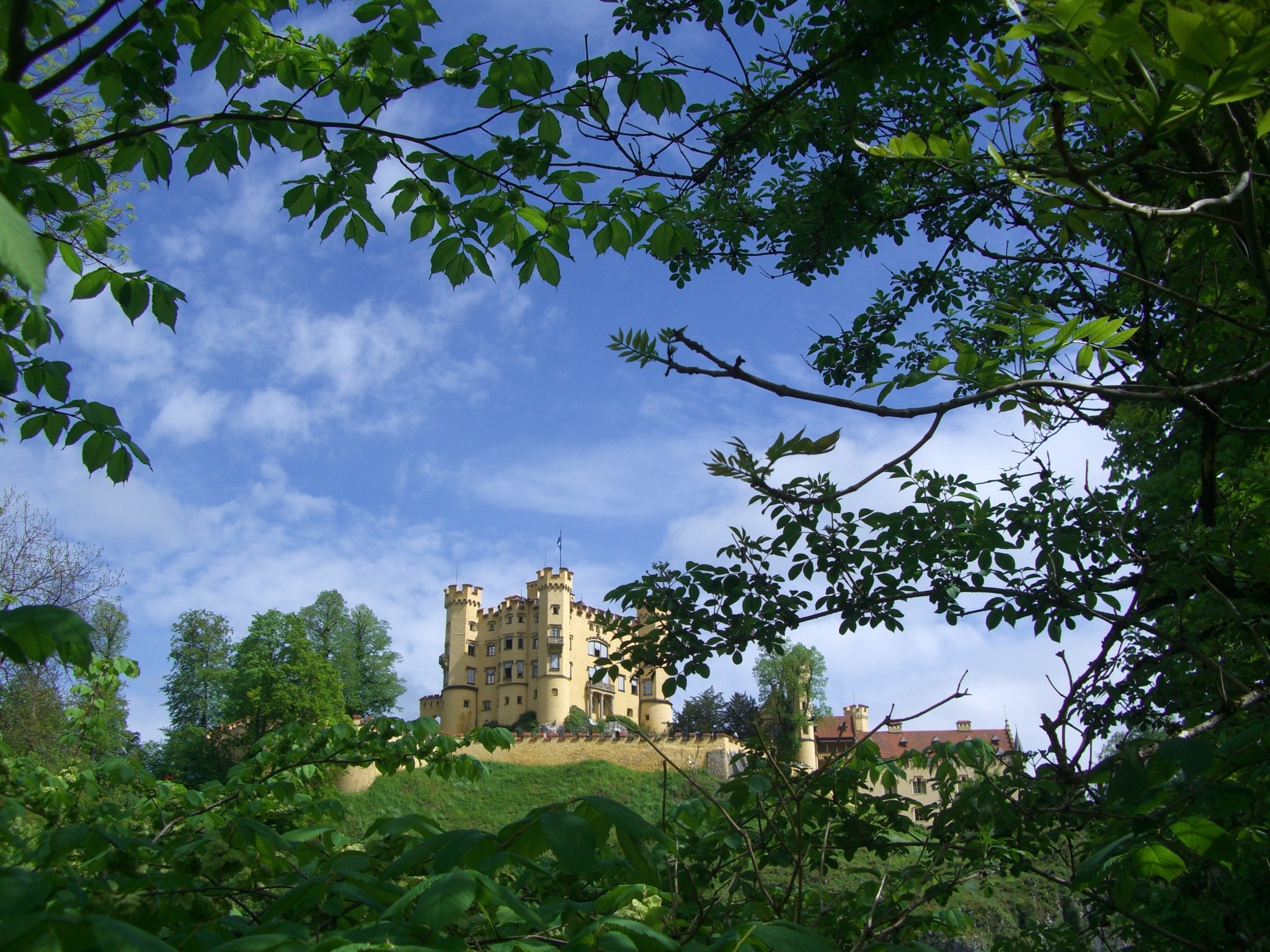 picture of trees and castle