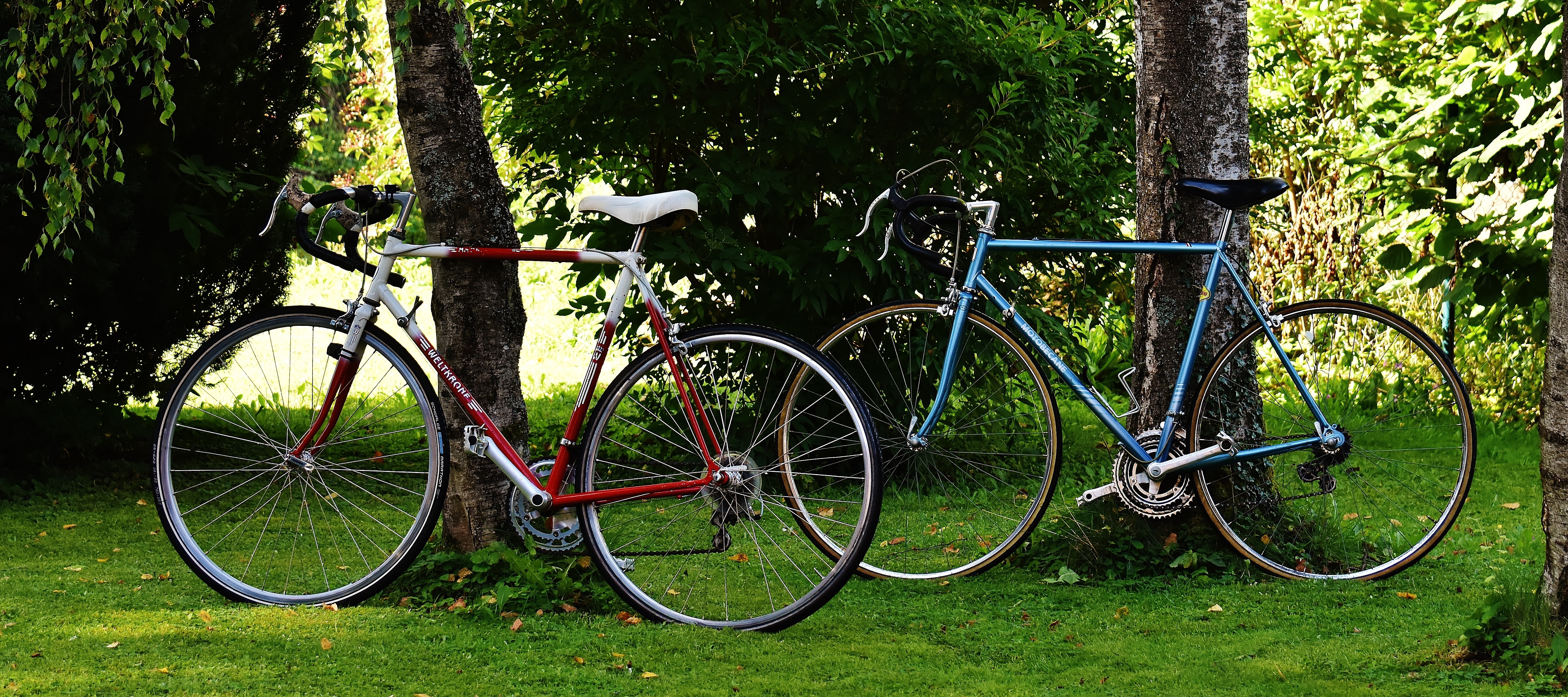 2 rigid bicycles