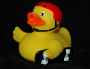 yellow duck toy thumbnail