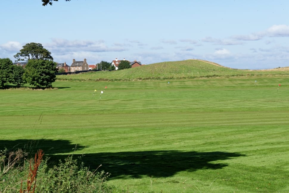 Golf Practice Ground, Flags, Golf, field, grass preview