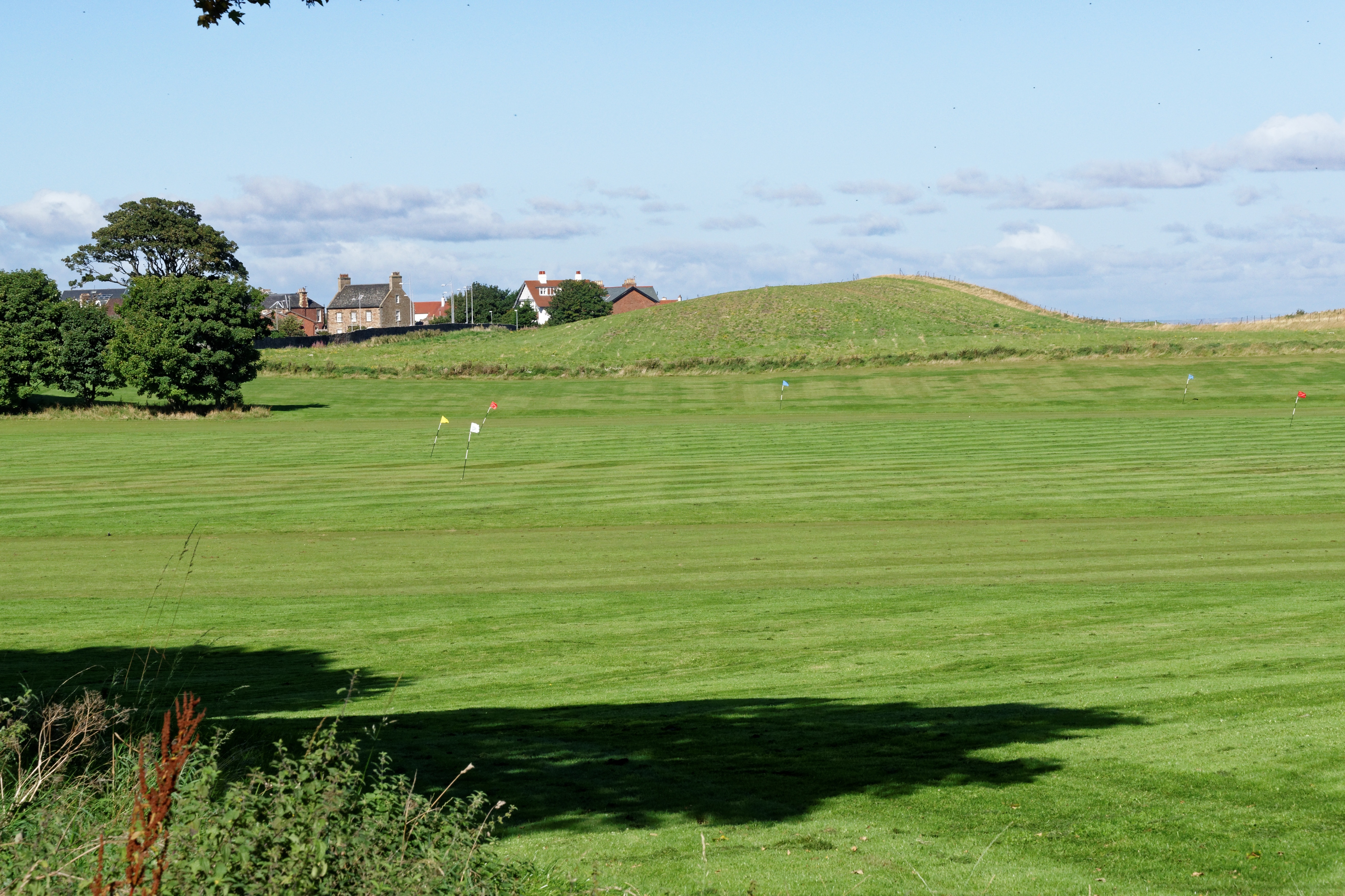 Golf Practice Ground, Flags, Golf, field, grass