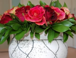 Romance, Roses, Floral, Vase, Plant, flower, rose - flower thumbnail