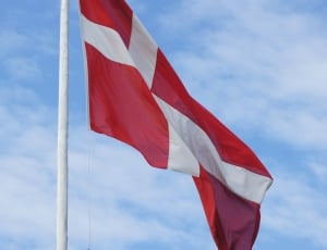denmark flag thumbnail