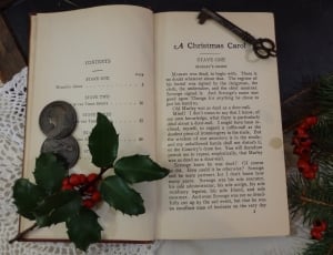 Antique, Book, Christmas, Holly, text, rose - flower thumbnail