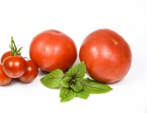 round tomatoes thumbnail