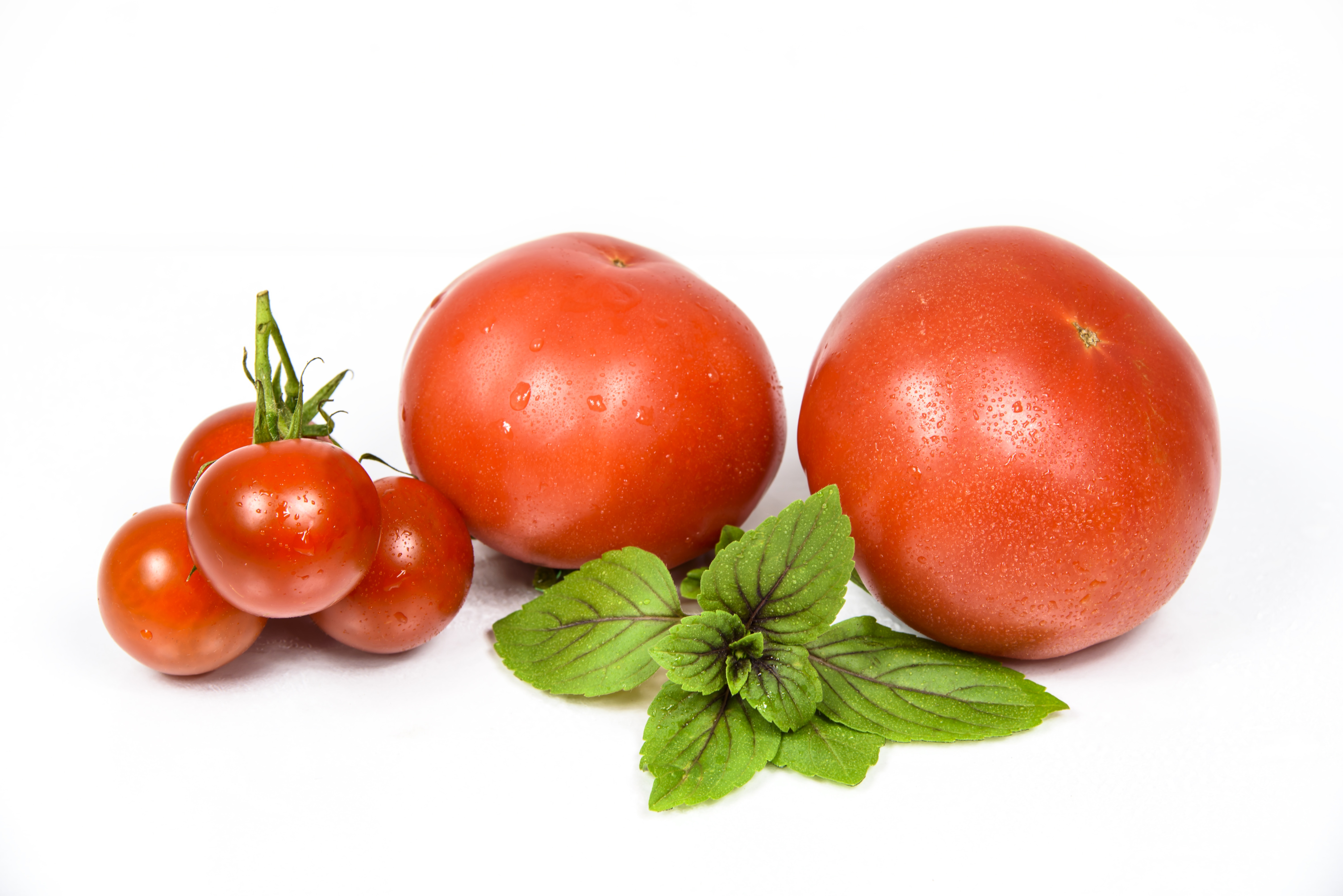 round tomatoes
