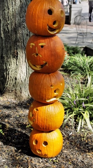 Pumpkins, Usa, Witch, Halloween, pumpkin, halloween thumbnail