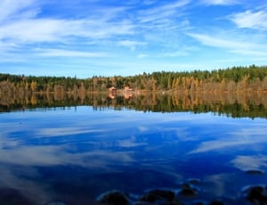 body of water surrounded by trees thumbnail