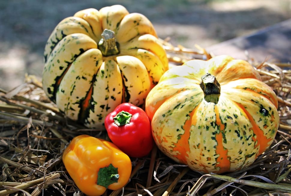 yellow and orange pumpkin and bell pepper preview