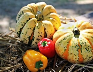 yellow and orange pumpkin and bell pepper thumbnail