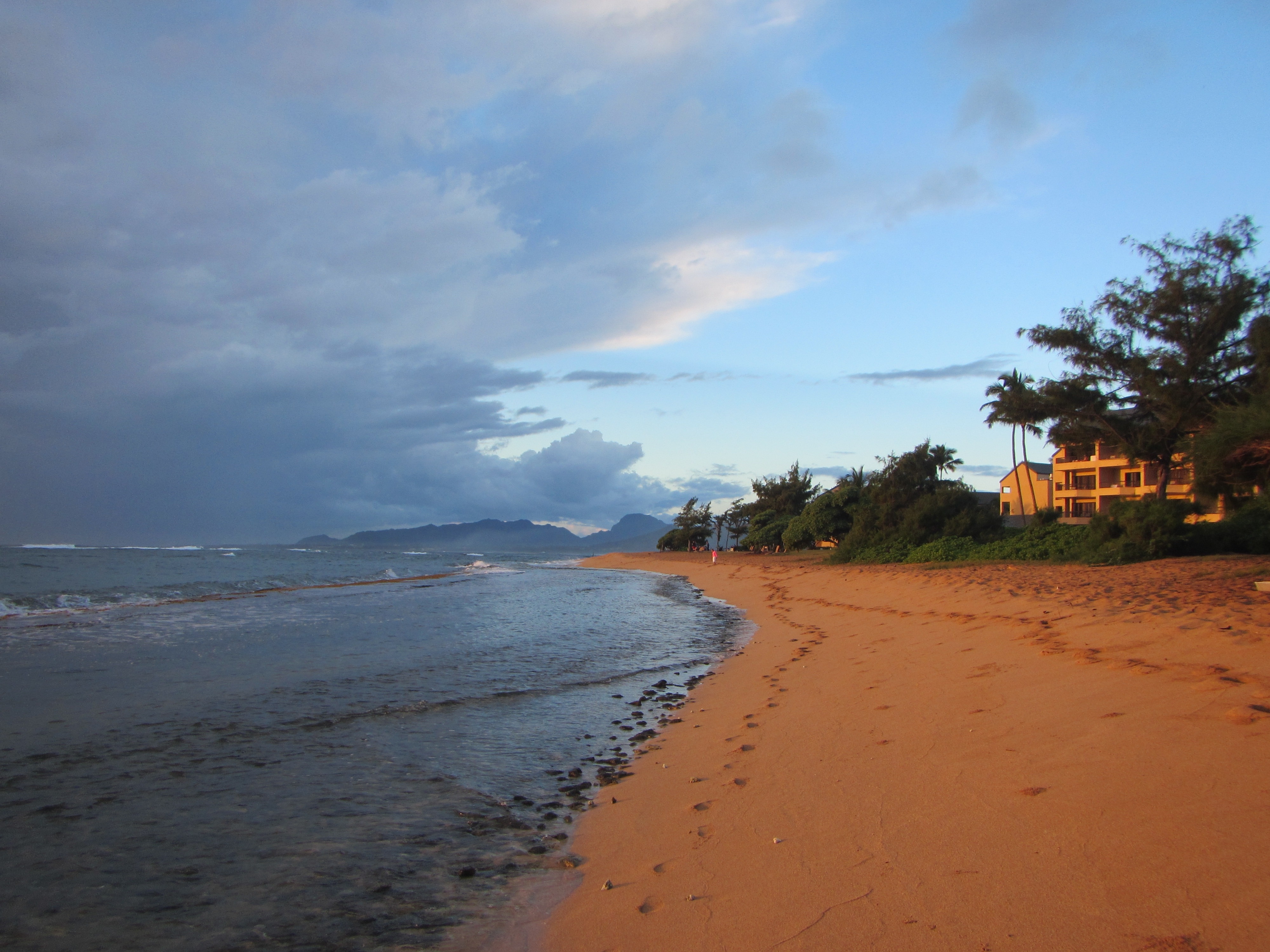 Brown beach