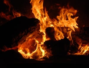 Fire, Hot, Fiery, Warm, flame, heat - temperature thumbnail