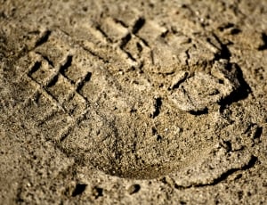 Footprints, Footprints In The Sand, mud, no people thumbnail