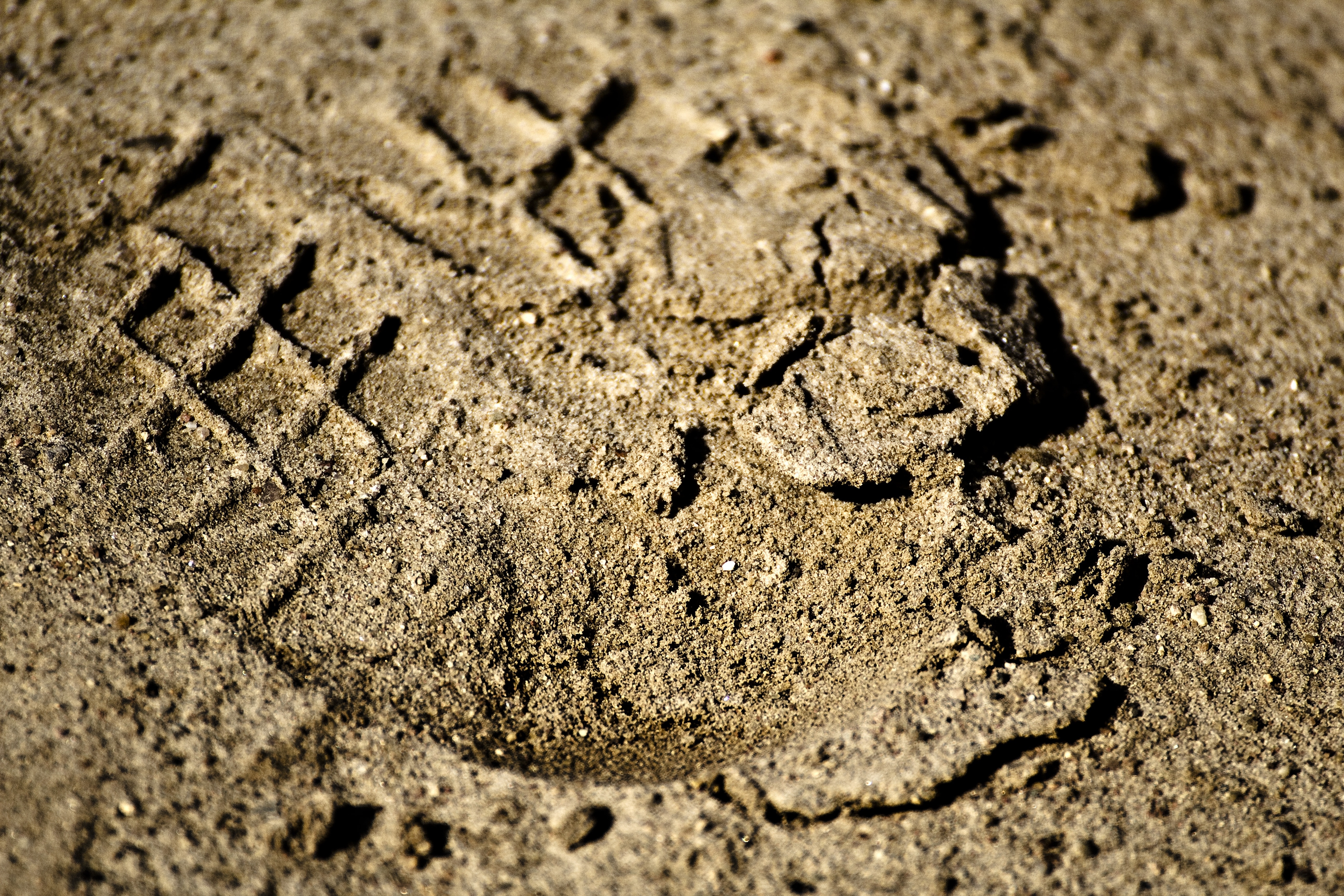 Footprints, Footprints In The Sand, mud, no people