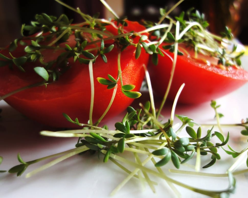 sliced red tomatoes with green vegetables preview