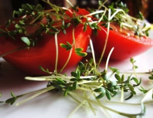 sliced red tomatoes with green vegetables thumbnail