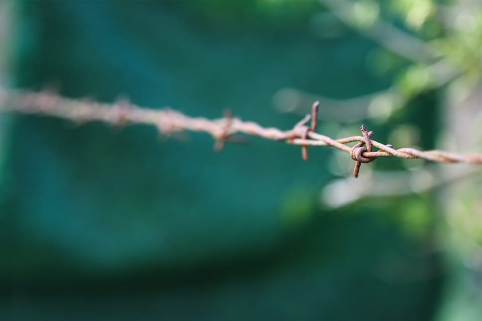 brown steel barbed wire preview